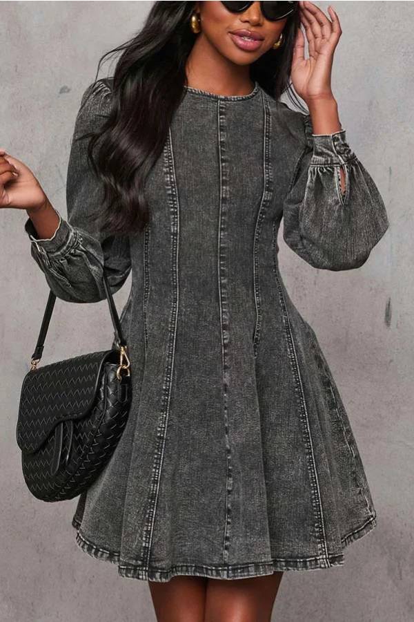 WW | Fade Into You Denim Prinzessinnenlinie Rückenreißverschluss Flare Stretch Mini Kleid