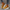 WW | Stylische Dicke Wildlederschuhe Mit Rutschfester Sohle Und Bequemer Passform