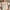 WW | Be The Light Sweater - inspirierender Damensweater mit entspanntem Schnitt