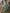 WW - Maxikleid im Boho-Ikat-Print mit Quastenbändern | Lässiges Maxikleid im Bohemian-Stil mit V-Ausschnitt