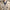 WW | Klassischer Trenchcoat Für Herren