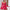 WW Langarm-Kleid mit Rüschen für Damenmode