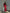 WW | Leichte Maxikleid mit Romantischem Schnitt
