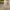 WW | Set Weite Hose Frau