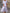 WW | Schicke Eleganz Blockschlitzkleid