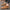 WW | Stilvolle Schuhe