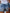 WW | Damen Denim Shorts Zerrissen Gerollt Stretch Hohe Taille Denim Shorts