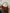 WW | Handtasche Aus Wildleder