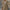 WW | Schlichtes Baumwoll Leinen Kleid Mit V-Ausschnitt Und Halben Ärmeln