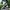 WW | Herren Slip on Sneaker Loafer Atmungsaktiv Und Bequem