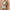 WW | Perlen See-through Mesh Zweiteiliges Set Sling Kleid