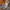 WW | Orthopädische Leder Slip-On Loafer für Damen