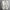 WW | Herren Hemd Im Japanischen Stil