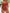 WW | Elegantes Halter Tankini Satz