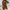 WW | Stilvolle Damenjacke