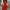 WW - Maxikleid mit schulterfreiem Design