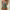 WW | Korrigierender Badeanzug - Damen - Push-Up Bikinioberteil und Elegante V-Ausschnittlinie