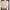 WW | Damen-Strickjacke Mit O-Ausschnitt Aus 100 % Reiner Merinowolle, Kaschmirpullover