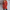 WW | Wollstrickjacke Damen Mit Zopfmuster Und Holzknöpfen, Lockere