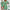 WW | Blumiges A-Linien-Kleid
