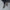 Damen Ankle-Boots aus softem Wildleder mit stabilem Blockabsatz WW