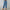 WW | Stylische, Legere und Elegante Hosen