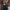 WW - Damen Leder Motorradjacke