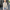 WW | Damen-Biker-Lederjacke mit Reißverschlüssen und Gürtel