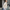 WW | Damen-Biker-Lederjacke mit Reißverschlüssen und Gürtel