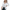 WW | Pufferblazer für Damen