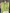 WW | Kaschmir Pullover Damen Runder Ausschnitt Weicher und Eleganter Strickpullover
