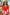 WW | Halb Snap Quadrat-Ausschnitt Tankini-Set