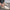 WW | Bequeme Leichte Schuhe mit Rutschfester Flacher Sohle