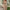 WW | Stilvolle Winter Chic Glitzer Jumpsuit Mit V-Ausschnitt Für Frauen