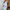 WW | Damen Ombre Offene Front Blazer, Lange Ärmel, Lässige Passform