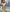 WW | Boho Lange Rock Mit Print