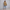 WW | Langer Damenblazer mit Klappentaschen und Tailliertem Schnitt