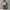 WW | Sommer Print Kimono Für Damen