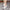Damen Slip-On Sneakers mit glitzerndem Obermaterial und komfortabler Sohle W&W