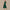 WW | Wickel-Midikleid mit Kappenärmeln