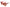 WW | Exquisite Damen Sonnenbrille Mit Blumenmuster