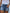 WW | Damen Denim Shorts Zerrissen Gerollt Stretch Hohe Taille Denim Shorts