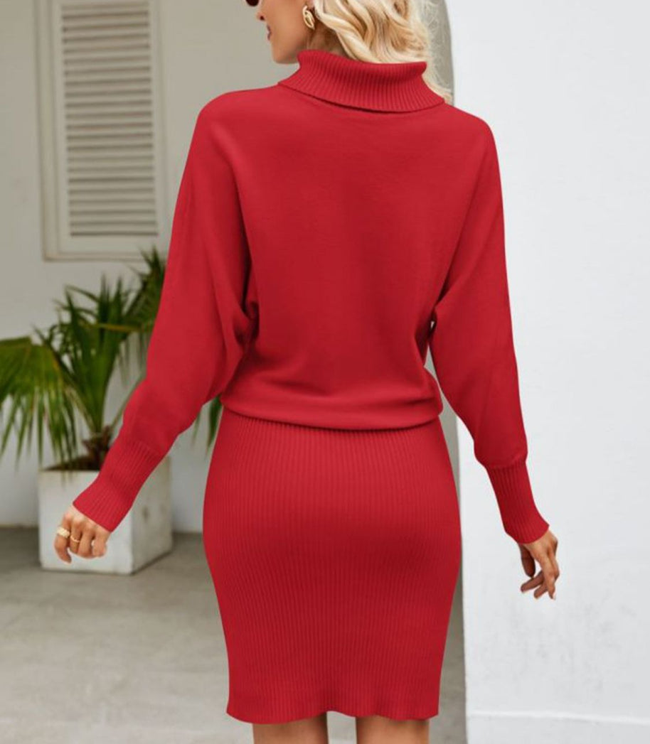 WW | Kuscheliges Rollkragen-Strickkleid Für Winterwärme