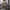 Damen sportliches Zweiteiliges Set mit T-Shirt und Shorts WW