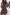 WW | Rosiedress V-Ausschnitt Leoparden-Swing-Minikleid