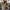 WW | Stylische Lederjacke