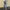WW Jeans mit hohem Bund und geradem Bein Damen