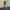 WW Jeans mit hohem Bund und geradem Bein Damen