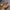 WW-Baby-Coconut-Turnschuhe: Atmungsaktive Netzschuhe