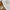 WW | 3 Ketten im Set